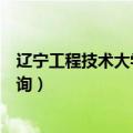 辽宁工程技术大学录取查询系统（辽宁工程技术大学录取查询）