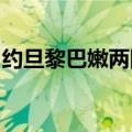 约旦黎巴嫩两国外长就黎南部局势问题通电话