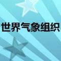 世界气象组织：极端天气气候事件已成新常态