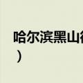 哈尔滨黑山街2020（哈尔滨黑山街71号瑶瑶）