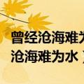 曾经沧海难为水是元稹写给谁的（元稹集曾经沧海难为水）