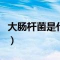 大肠杆菌是什么原因引起的（大肠杆菌是什么）