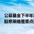 公募基金下半年投资策略：A股估值向上修复空间大 红利高股息策略是重点投资方向