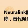 Neuralink脑机接口实验因受试者健康问题暂停，替代候选人待定