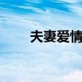 夫妻爱情的电视剧（爱情的电视剧）