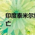 印度泰米尔纳德邦鞭炮厂爆炸事件已致4人死亡
