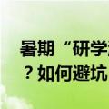 暑期“研学游”热度攀升 今年有哪些新趋势？如何避坑？
