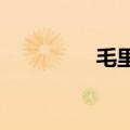 毛里塔尼亚举行总统选举