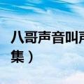 八哥声音叫声大全集视频（八哥声音叫声大全集）