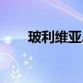玻利维亚总统：未遂政变是受人指使