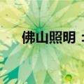 佛山照明：是深中通道照明设备供应商
