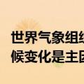 世界气象组织专家：极端天气事件成常态，气候变化是主因