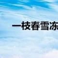 一枝春雪冻梅花头像（一枝春雪冻梅花）