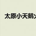 太原小天鹅火锅方便面（太原小天鹅火锅）