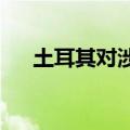 土耳其对涉华镀锡板卷启动反倾销调查