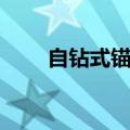 自钻式锚杆施工视频（自钻式锚杆）