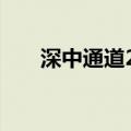 深中通道24小时车流量超12.5万车次