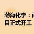 渤海化学：丙烯酸酯和高吸水性树脂新材料项目正式开工