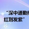 “深中通勤搭子”火了：深中通道通车导航“红到发紫”