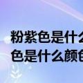 粉紫色是什么颜色和什么颜色调出来的（粉紫色是什么颜色）