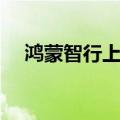 鸿蒙智行上半年累计交付194207辆汽车