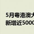 5月粤港澳大湾区“跨境理财通”个人投资者新增近5000人
