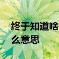 终于知道啥是city不city了：city不city是什么意思