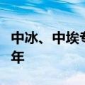 中冰、中埃专利审查高速路试点项目再延长五年