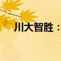 川大智胜：总经理杨波辞职 刘健波接任