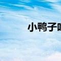 小鸭子吃什么的（小鸭子吃什么）