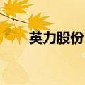 英力股份：部分募投项目延长建设期