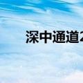 深中通道24小时车流量超12.5万车次