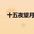 十五夜望月的意思及诗意（十五夜望月）