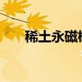 稀土永磁概念盘初走高 多股涨超10%
