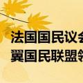 法国国民议会选举首轮投票初步结果显示极右翼国民联盟领先