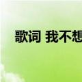 歌词 我不想忘记你（我不想永远忘记你）