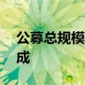 公募总规模突破31万亿，主动权益反降逾三成