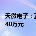 天微电子：董事及高管拟增持股份120万元-240万元