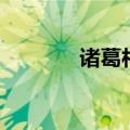 诸葛村夫是谁叫的（诸葛村）