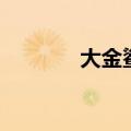 大金鲨捕鱼公众号（大金鲨）