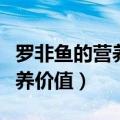 罗非鱼的营养价值和功效与禁忌（罗非鱼的营养价值）