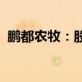 鹏都农牧：股票将被终止上市，明日起停牌