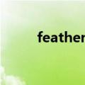feathers翻译成中文（feathers）