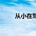 从小在驾校长大的狗指导倒车入库