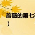 蔷薇的第七夜讲的什么内容（蔷薇的第七夜3）