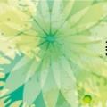 美股今日提前收市
