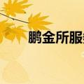 鹏金所服务的部分产品出现延期兑付