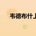 韦德布什上调特斯拉目标价至300美元