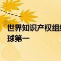 世界知识产权组织：过去十年中国生成式AI专利申请量居全球第一