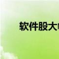 软件股大幅回调，科创信息跌近15%